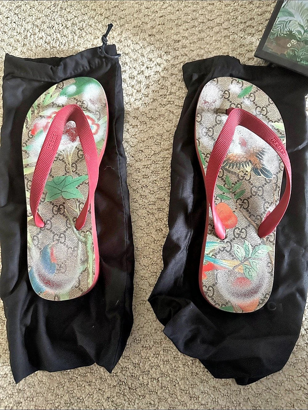 Gucci GG Supreme Blooms Thong Sandals Pink & Green